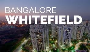 Whitefield Escorts